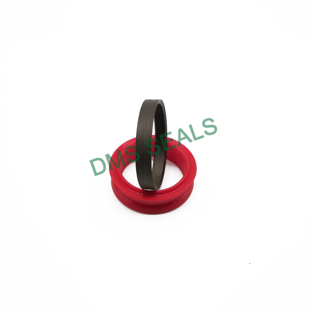 DMS Seals rubber seal strip suppliers o ring for larger piston clearance-3