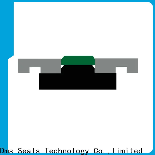 DMS Seal Manufacturer cup seals for hydraulic cylinders glyd ring for light and medium hydraulic systems