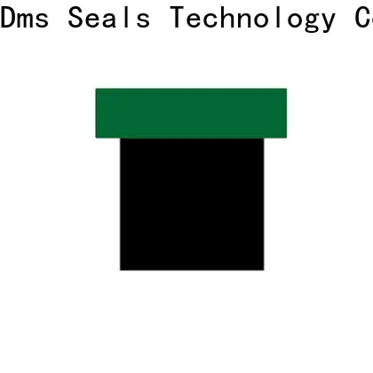 DMS Seal Manufacturer hydraulic sealing solutions factory for pneumatic equipment