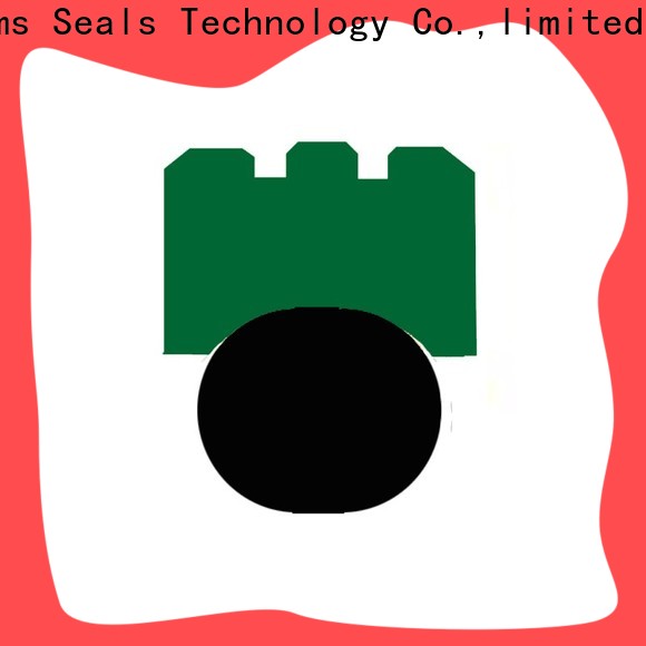 DMS Seal Manufacturer High-quality rotary face seal company for construction machinery