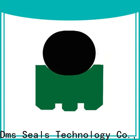 DMS Seal Manufacturer high speed metric lip seals with nbr or fkm o ring for construction machinery