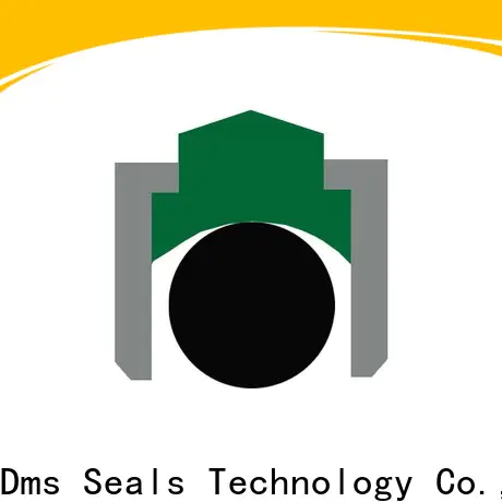 DMS Seal Manufacturer Top shaft seal catalog for business for automotive equipment