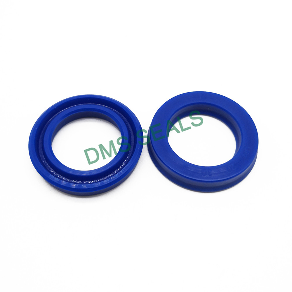 DMS Seals seal ring suppliers price for larger piston clearance-2