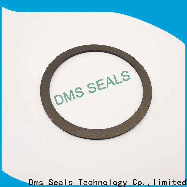 DMS Seal Manufacturer back up asbestos gasket material material for liquefied gas