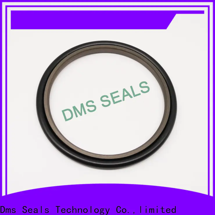 DMS Seal Manufacturer compact crane mechanical seals o ring for larger piston clearance