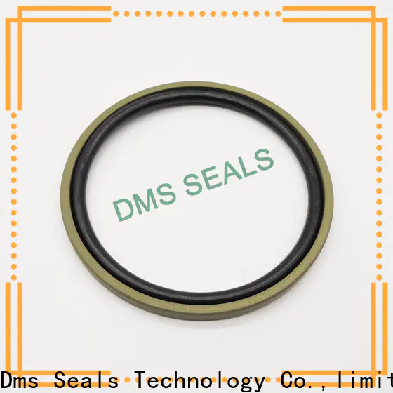 DMS Seal Manufacturer mechanical seal presentation glyd ring for piston and hydraulic cylinder