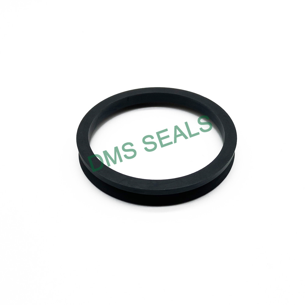 DMS Seals DMS Seals hydraulic cylinder seal design manufacturer to high and low speed-1