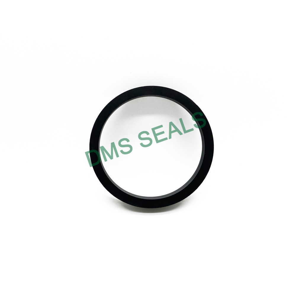 DMS Seals hydraulic seals pdf for business to high and low speed-2