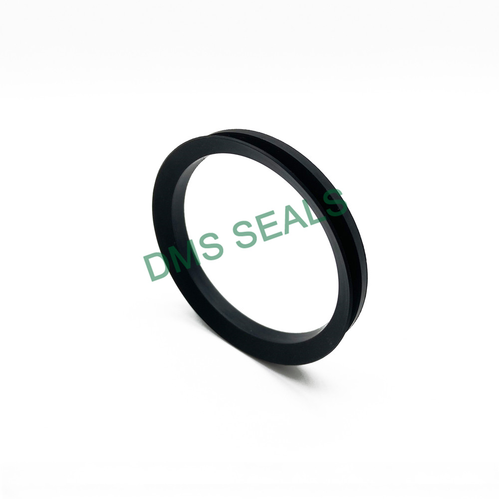 news-DMS Seals-DMS Seals Wholesale hydraulic and pneumatic seals manufacturer for sale-img