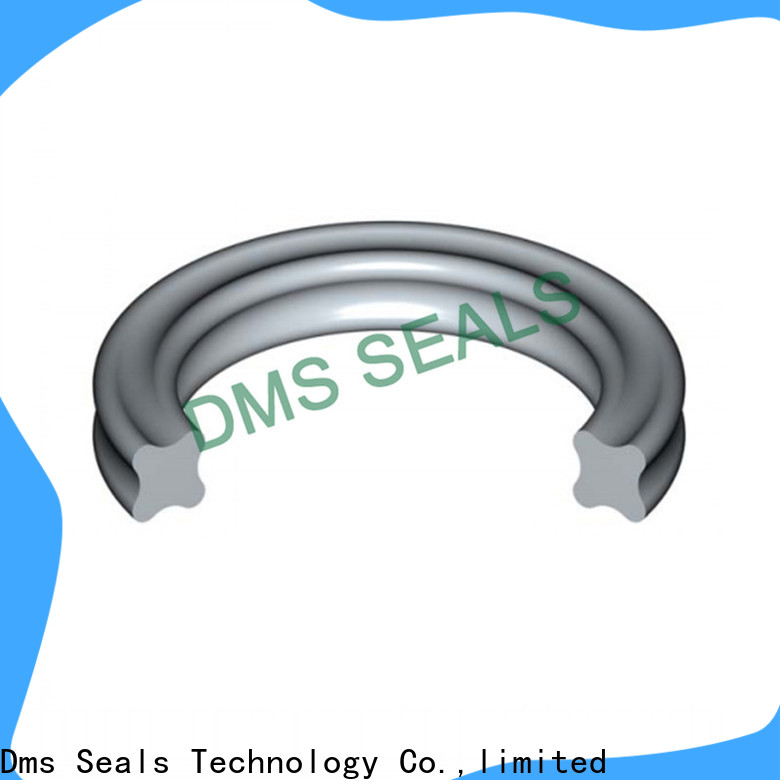 DMS Seal Manufacturer 7 inch rubber o ring company in highly aggressive chemical processing