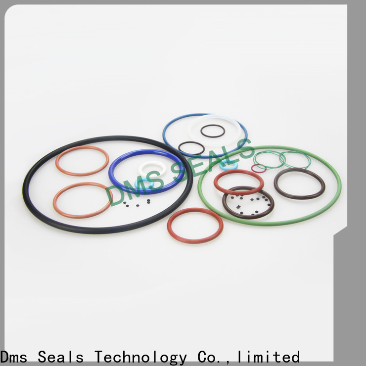 DMS Seal Manufacturer Wholesale 6 inch rubber o ring in highly aggressive chemical processing