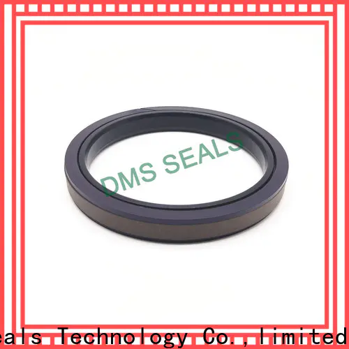 DMS Seal Manufacturer metric mechanical seals wholesale for larger piston clearance