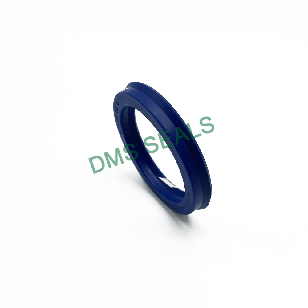 application-High-quality piston rod seal manufacturers for sale-DMS Seals-img