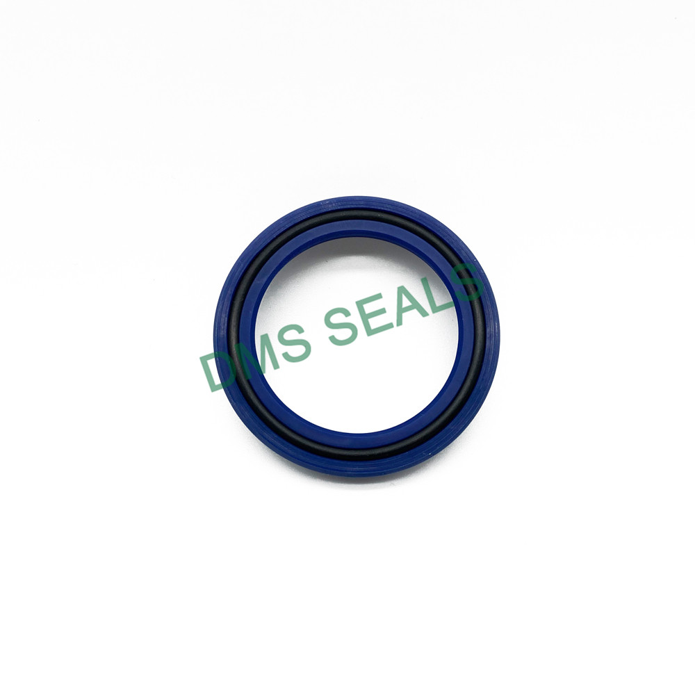 High-quality piston rod seal manufacturers for sale-2