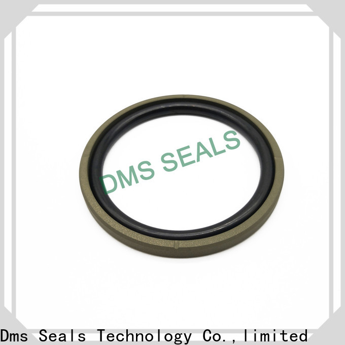 DMS Seal Manufacturer Wholesale hydraulic cylinder piston rings with nbr or fkm o ring for sale