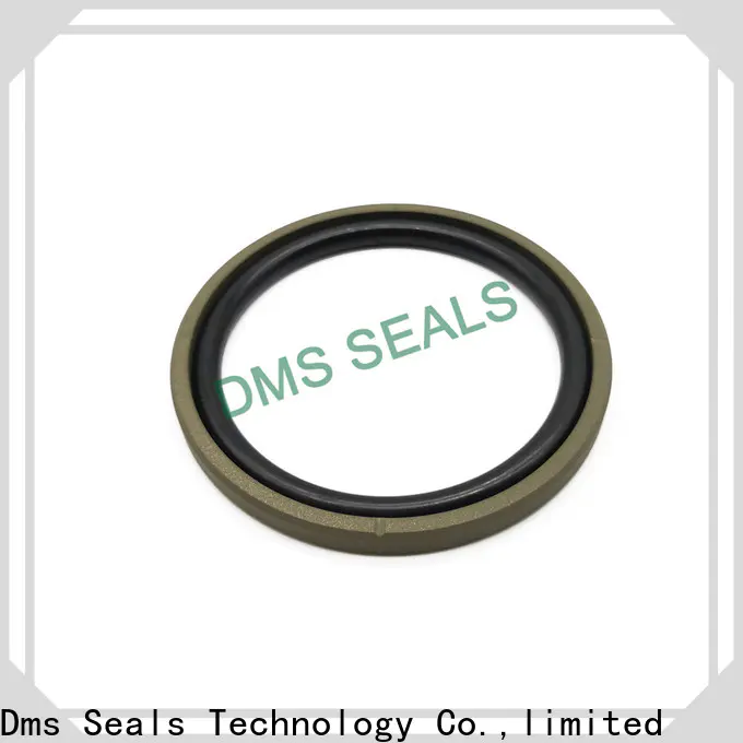 DMS Seal Manufacturer Wholesale hydraulic cylinder piston rings with nbr or fkm o ring for sale