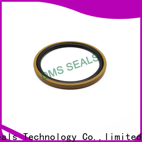 DMS Seal Manufacturer hydraulic piston seals sizes for business for light and medium hydraulic systems