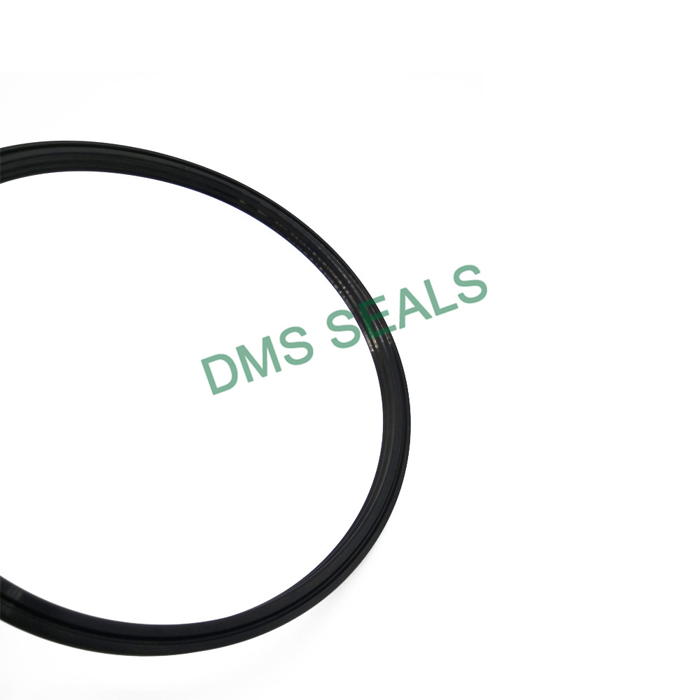 product-DMS Seals mechanical seal operation factory price for larger piston clearance-DMS Seals-img