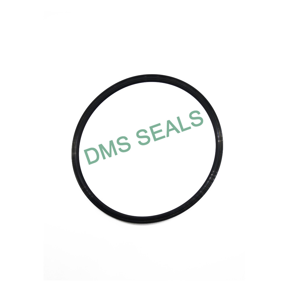 DMS Seals hot sale d seal suppliers wholesale for larger piston clearance-2