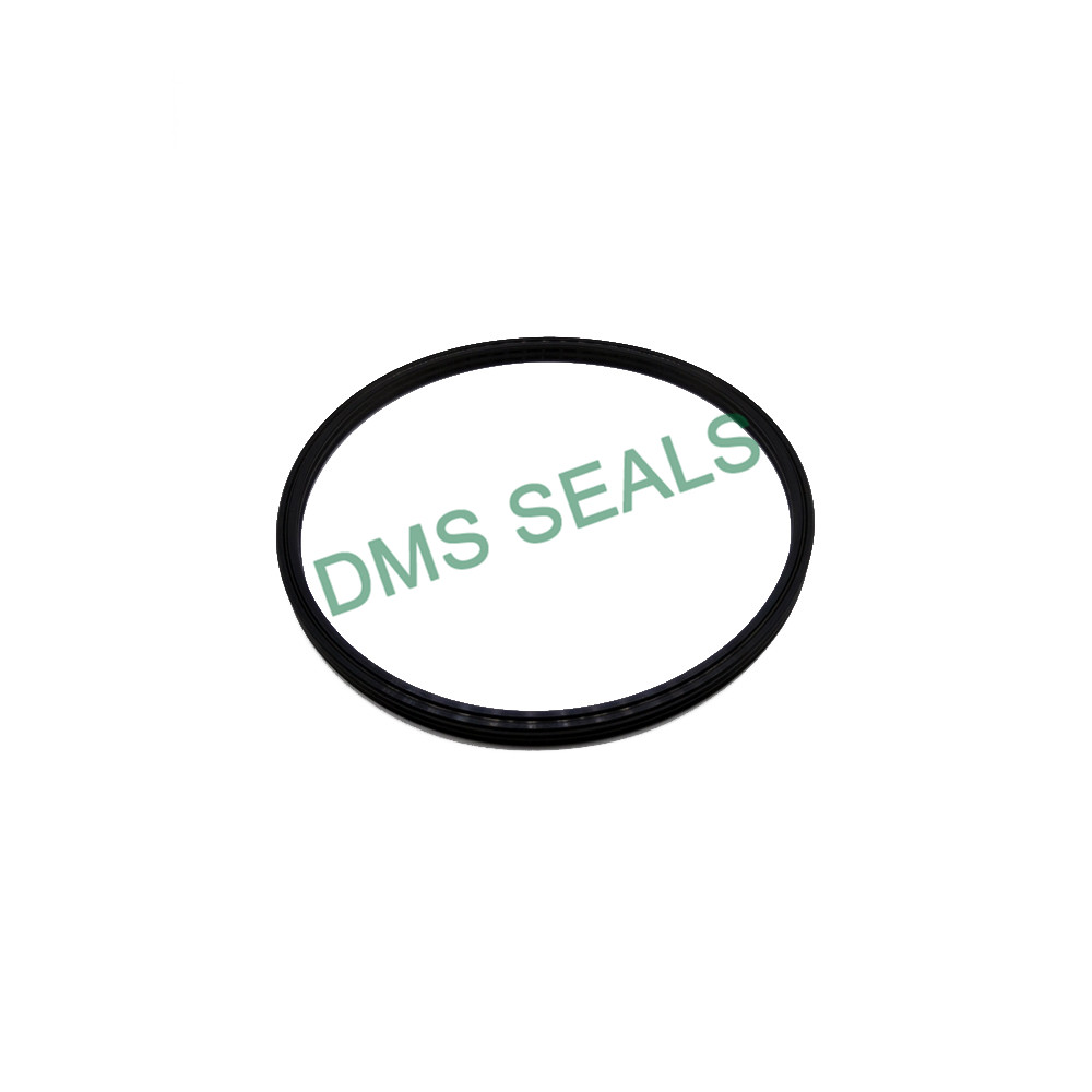 DMS Seals hot sale d seal suppliers wholesale for larger piston clearance-1