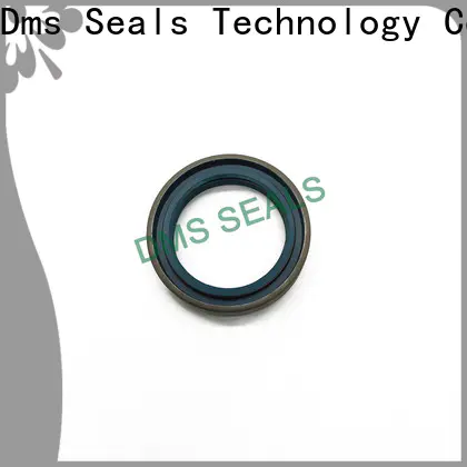 DMS Seal Manufacturer oil retainer seal with a rubber coating for housing
