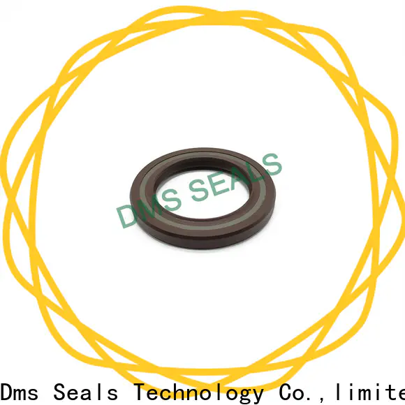 DMS Seal Manufacturer primary national axle seal with integrated spring for sale