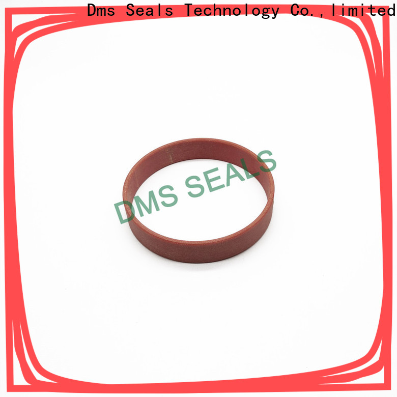 Top rolling bearing analysis pdf guide strip for sale DMS Seal