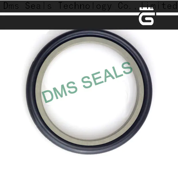 DMS Seal Manufacturer compact rubber seal strip suppliers supplier for larger piston clearance