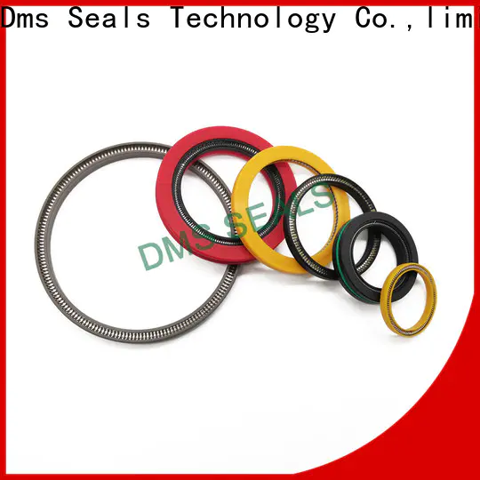 DMS Seal Manufacturer Custom loaded lip seal manufacturers for reciprocating piston rod or piston single acting seal