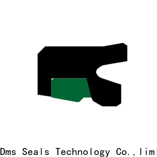 DMS Seal Manufacturer hydraulic seal kits suppliers company for sale