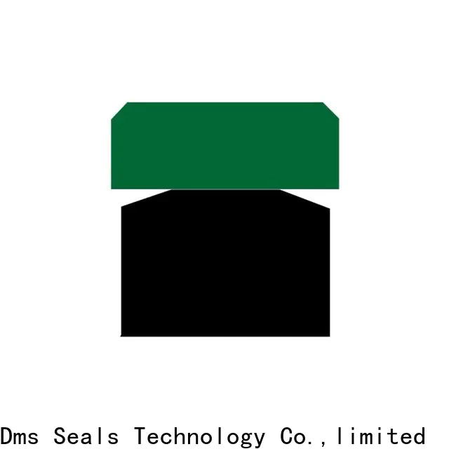 DMS Seal Manufacturer cheap oil seals glyd ring for light and medium hydraulic systems