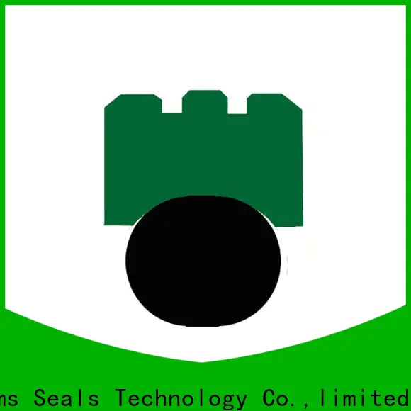 DMS Seal Manufacturer lip seal function manufacturers for automotive equipment