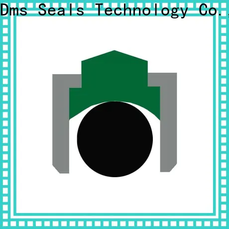 DMS Seal Manufacturer factory for construction machinery