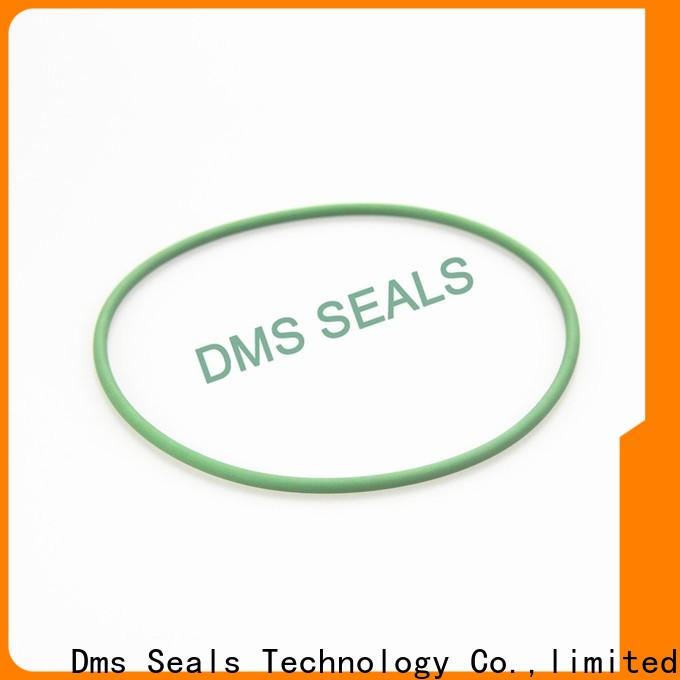 DMS Seal Manufacturer o ring seal groove dimensions Supply in highly aggressive chemical processing