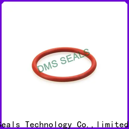 DMS Seal Manufacturer very small o rings Suppliers for static sealing