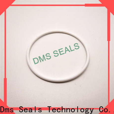 DMS Seal Manufacturer common o ring sizes company in highly aggressive chemical processing