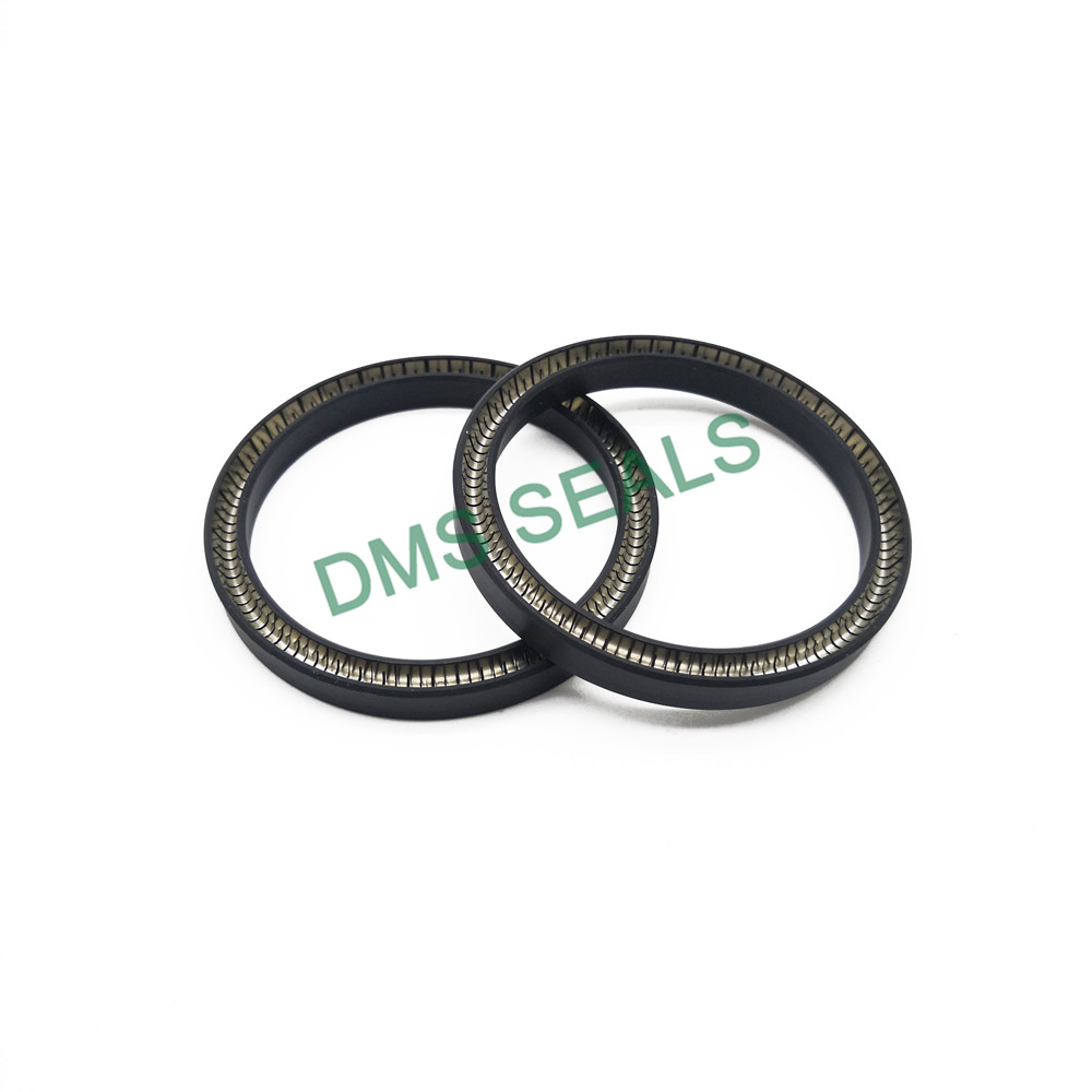 news-DMS Seals glrd mechanical seal manufacturer for reciprocating piston rod or piston single actin