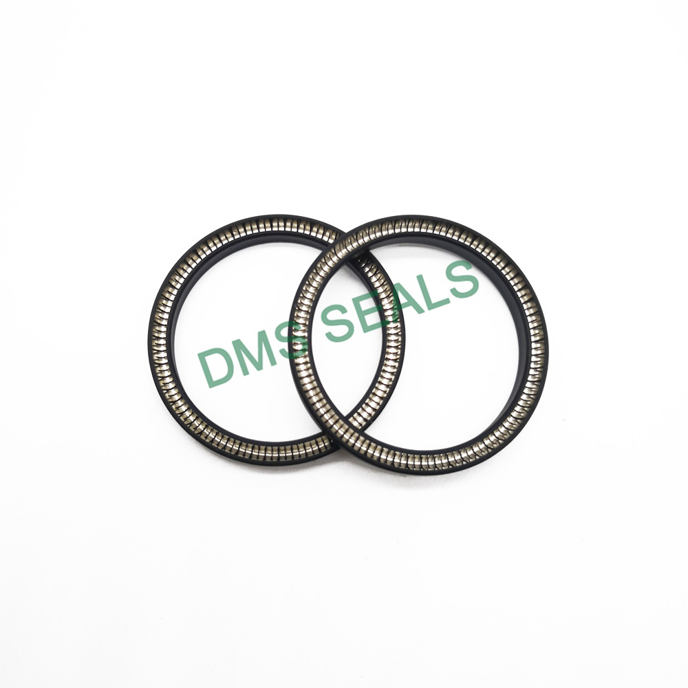 news-DMS Seals-DMS Seals glrd mechanical seal manufacturer for reciprocating piston rod or piston si