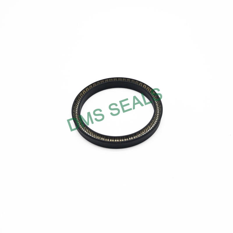 High Quality Good Performance Custom-Made Spring Energized Seal-T01
