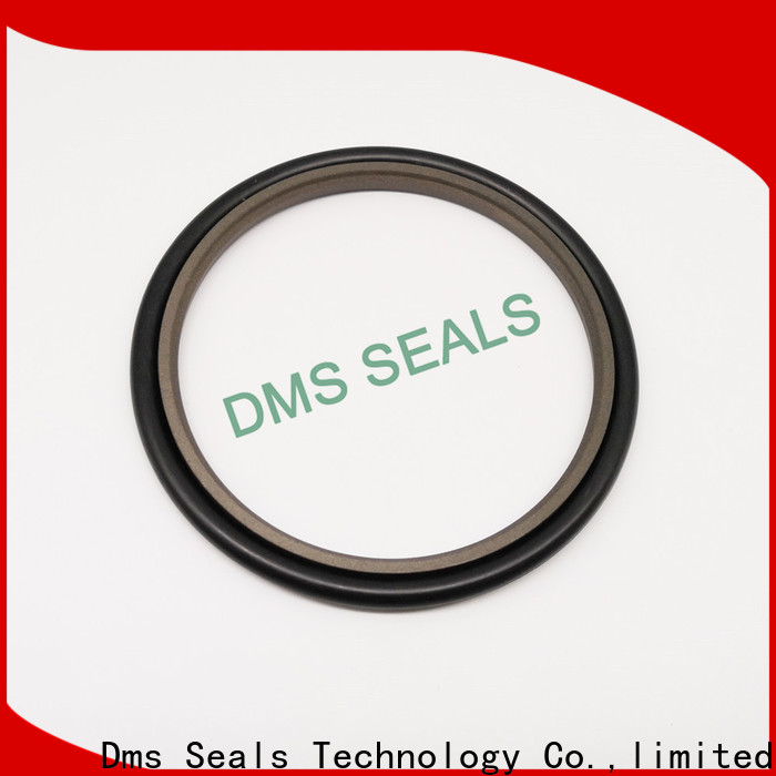 DMS Seal Manufacturer seal kit suppliers o ring for larger piston clearance