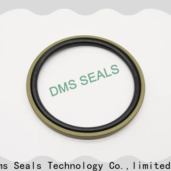 DMS Seal Manufacturer custom hydraulic seals catalogue o ring for piston and hydraulic cylinder