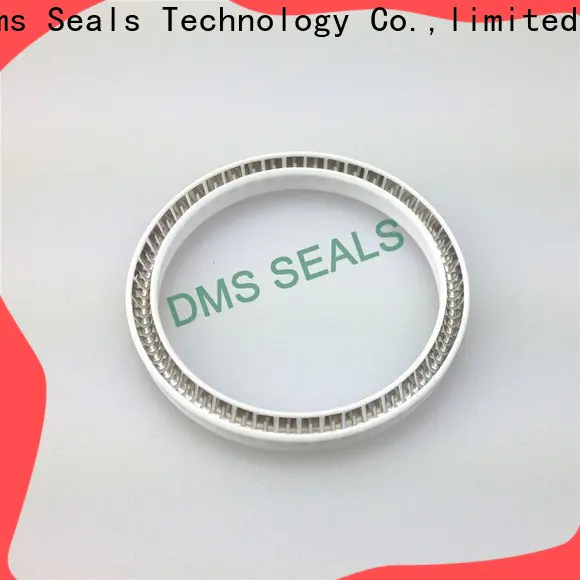 Custom spring energized seals Supply for aviation