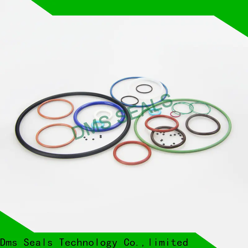DMS Seal Manufacturer buy rubber ring factory in highly aggressive chemical processing