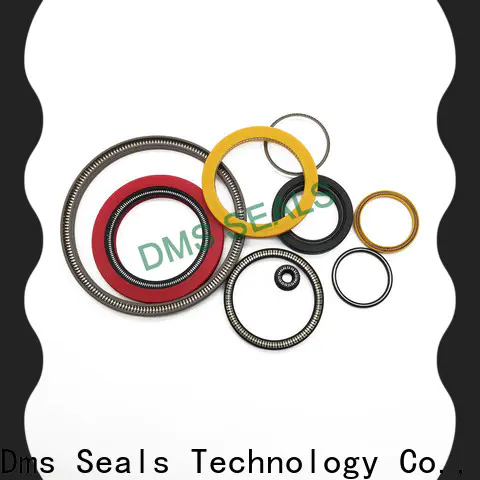 DMS Seals Best spring loaded double lip seal for business for aviation