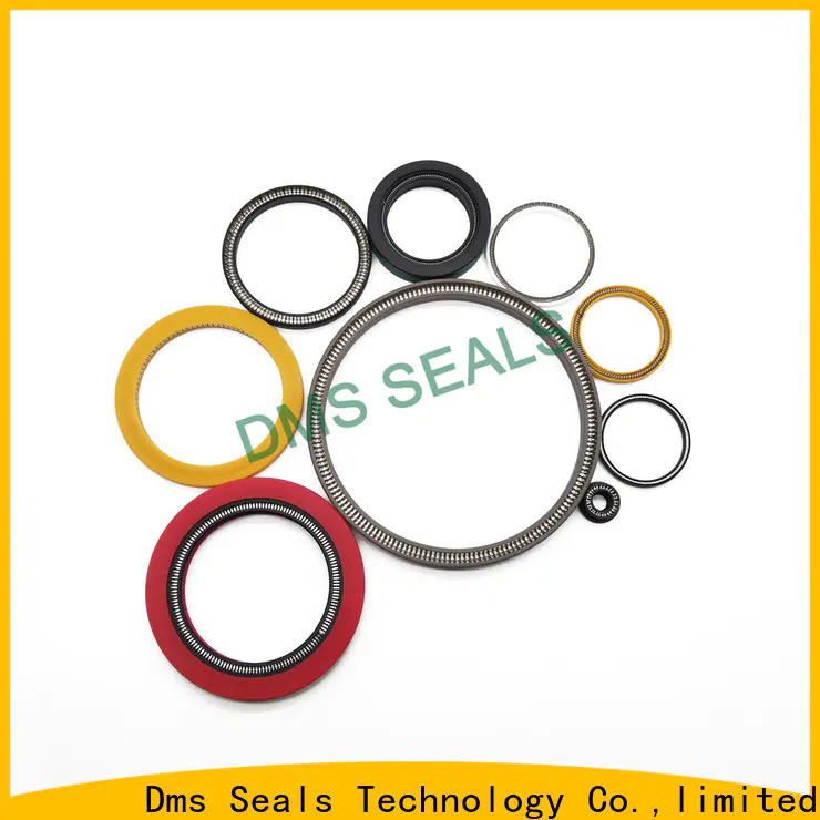 DMS Seals rotary seals manufacturer factory for reciprocating piston rod or piston single acting seal