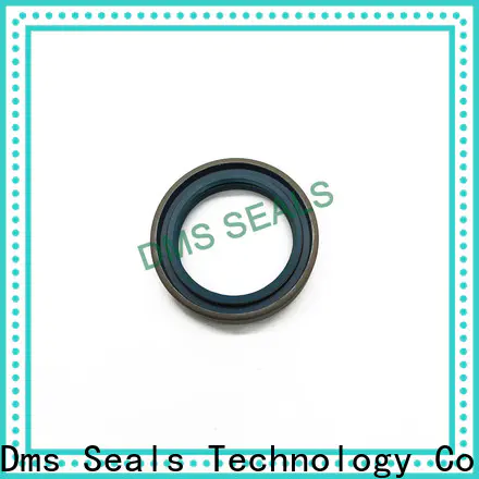 DMS Seals oil seal hydraulic with low radial forces for sale