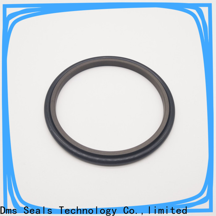DMS Seals shaft seals for pumps supplier for larger piston clearance