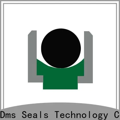 DMS Seals best hydraulic packing kits Suppliers for sale