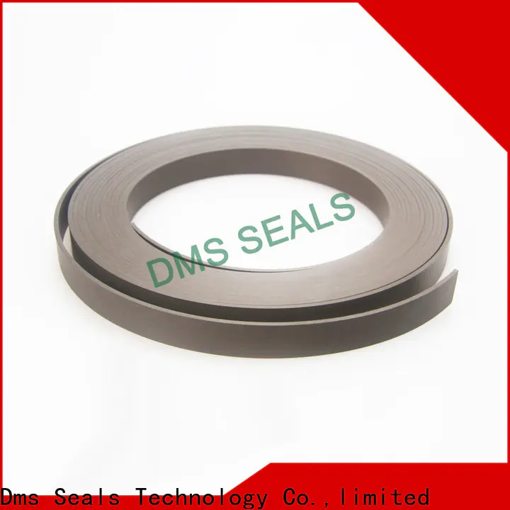 DMS Seals mini roller bearings guide strip for sale