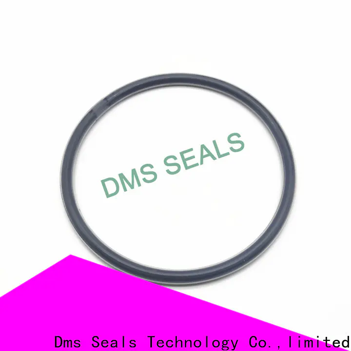 DMS Seals silicone o ring seal manufacturers in highly aggressive chemical processing